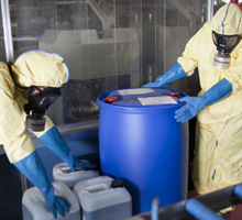Experts disposing infested material